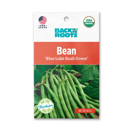 Back to the Roots Organic Bean  Blue Lake  Bush Green  1 Seed Packet