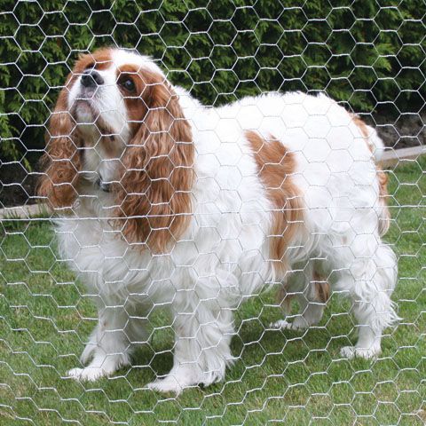 Hex Wire Netting 24 Inches X 25 Feet - 1 Inch