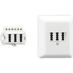 Rutenbeck 10210109 TAE Phone Socket Surface-Mount White 1 Tel 2 De