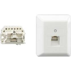 Rutenbeck UAE Anschluss (RJ45 8(8) up) Up50 Rw