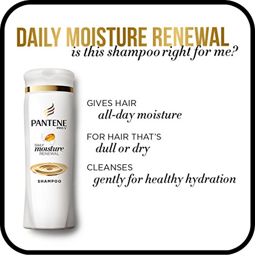 Pantene Pro-V Shampoo, Daily Moisture Renewal, 12.6 Ounce thumbnail