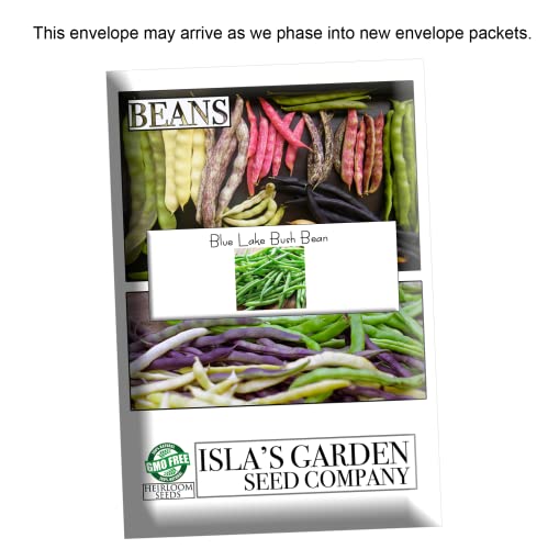 Blue Lake Bush Green Bean Seeds  50+ Heirloom Seeds per Packet  Non GMO Seeds Botanical Name Phaseolus Vulgaris thumbnail