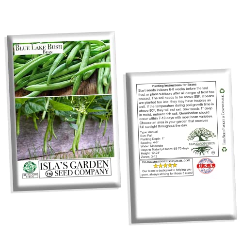 Blue Lake Bush Green Bean Seeds  50+ Heirloom Seeds per Packet  Non GMO Seeds Botanical Name Phaseolus Vulgaris thumbnail