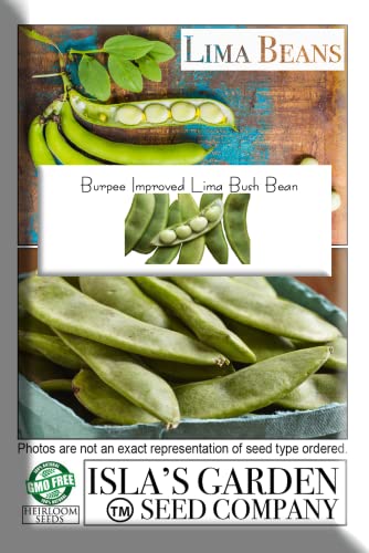 Burpee Improved Lima Bush Bean Seeds for Planting  30+ Heirloom Seeds per Packet  (Isla S Garden Seeds)  Non GMO Seeds  Botanical Name: Phaseolus Luna thumbnail