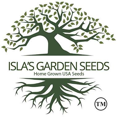 Burpee Improved Lima Bush Bean Seeds for Planting  30+ Heirloom Seeds per Packet  (Isla S Garden Seeds)  Non GMO Seeds  Botanical Name: Phaseolus Luna thumbnail