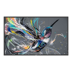 Philips 55BDL3650Q Digital Signage Flat Panel 139.7 Cm (55