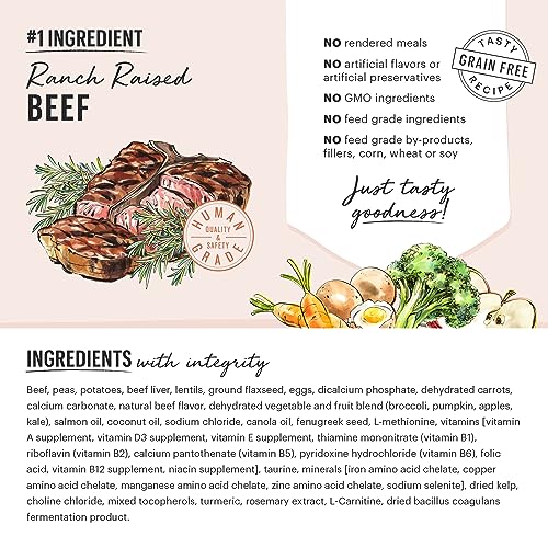 The Honest Kitchen Whole Food Clusters Small Breed Grain Free Beef Dry Dog Food, 10 Lbs thumbnail