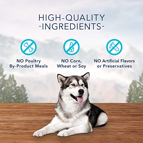 Blue Buffalo Wilderness Trail Treats High Protein Grain Free Crunchy Dog Treats Biscuits, Turkey Recipe 10-oz Bag thumbnail