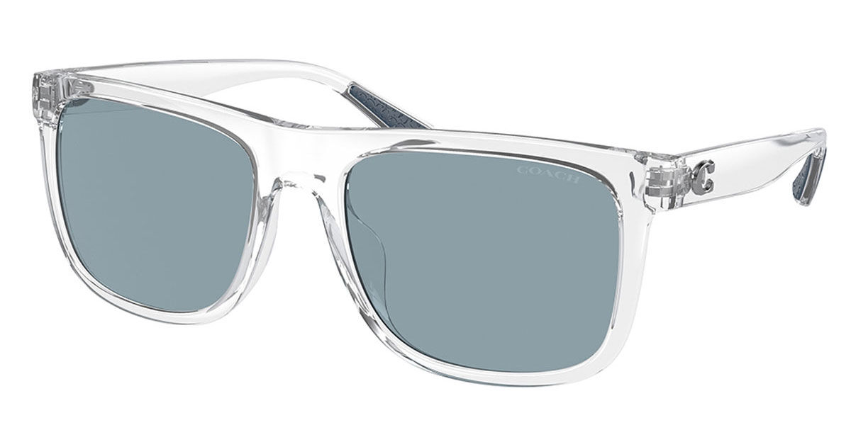 Sunglasses Coach HC 8367 U 511172 Transparent Clear
