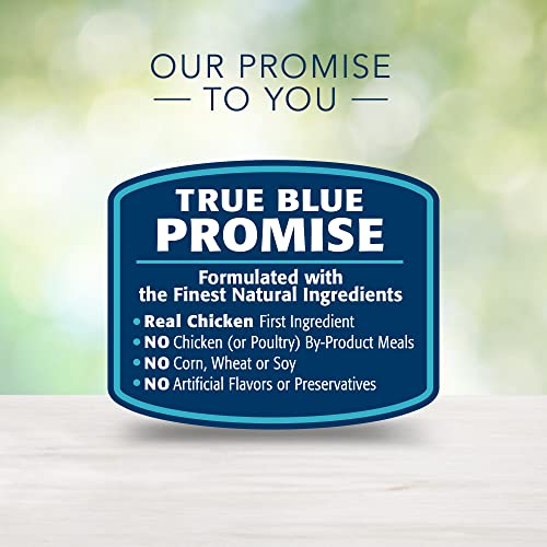 Blue Buffalo Freedom Grain Free Natural Adult Pate Wet Cat Food, Indoor Chicken 3-oz Cans (Pack of 24) thumbnail
