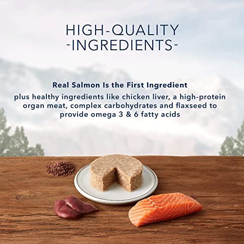 Blue Buffalo Wilderness High Protein Grain Free, Natural Kitten Pate Wet Cat Food, Salmon 3-oz Cans (Pack of 24) thumbnail