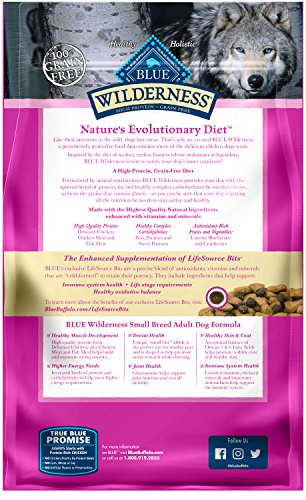 Blue Buffalo Wilderness High Protein, Natural Adult Small Breed Dry Dog Food, Chicken 11-lb thumbnail