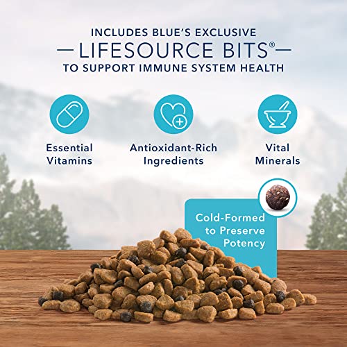 Blue Buffalo Wilderness High Protein, Natural Adult Small Breed Dry Dog Food, Chicken 11-lb thumbnail