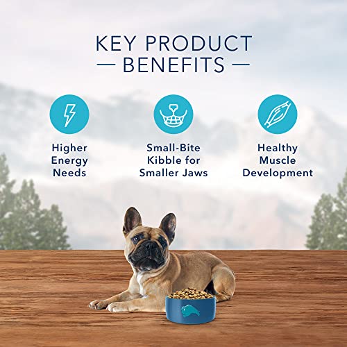 Blue Buffalo Wilderness High Protein, Natural Adult Small Breed Dry Dog Food, Chicken 11-lb thumbnail