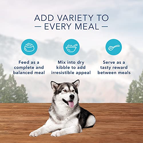 Blue Buffalo Wilderness High Protein, Natural Adult Wet Dog Food, Salmon & Chicken Grill 12.5-oz Cans (Pack of 12) thumbnail