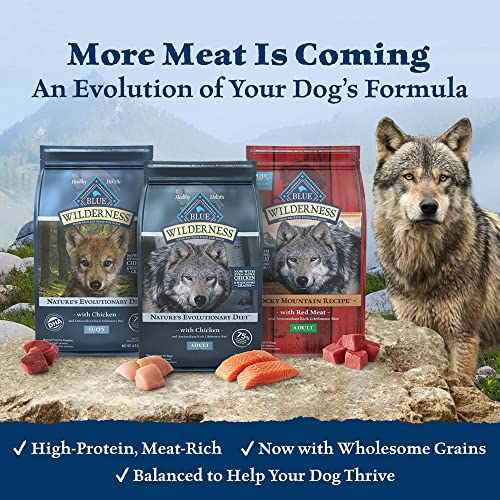 Blue Buffalo Wilderness High Protein, Natural Puppy Dry Dog Food, Chicken 11-lb thumbnail