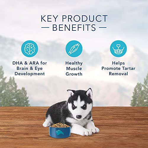 Blue Buffalo Wilderness High Protein, Natural Puppy Dry Dog Food, Chicken 11-lb thumbnail