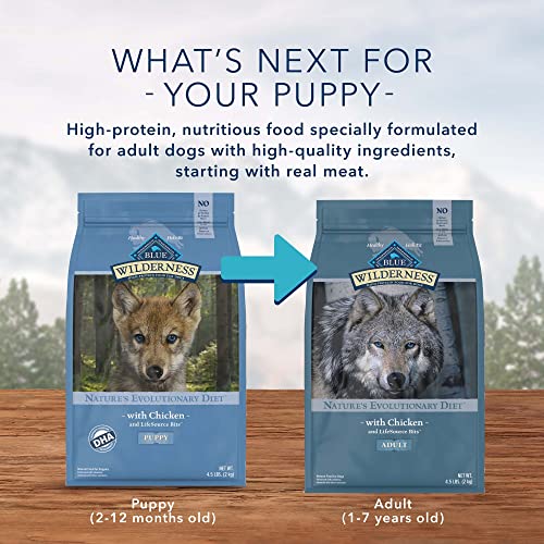 Blue Buffalo Wilderness High Protein, Natural Puppy Dry Dog Food, Chicken 11-lb thumbnail