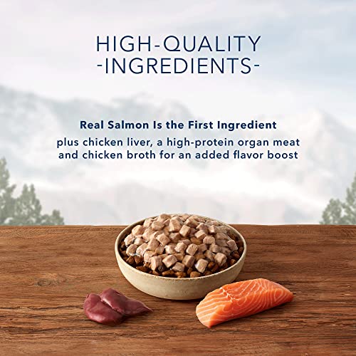 Blue Buffalo Wilderness Trail Toppers Wild Cuts High Protein Natural Wet Dog Food, Chunky Salmon Bites in Hearty Gravy 3-oz Pouches (Pack of 24) thumbnail
