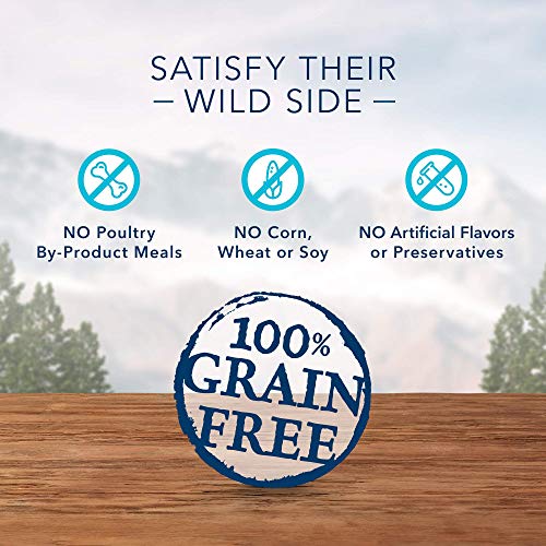Blue Buffalo Wilderness Trail Treats Wild Bites High Protein Grain Free Soft-Moist Dog Treats, Salmon 4-oz Bag thumbnail