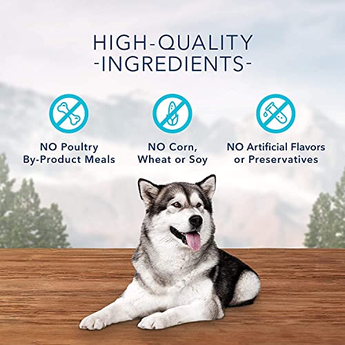 Blue Buffalo Wilderness Trail Treats Wild Bits High Protein Grain Free Soft-Moist Training Dog Treats, Chicken Recipe 4-oz Bag thumbnail