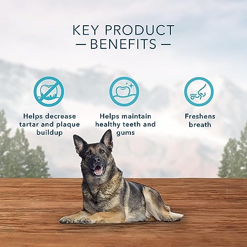 Blue Buffalo Wilderness Wild Bones Grain Free Dental Chews Dog Treats, Large 10-oz Bag thumbnail