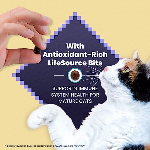 Blue Buffalo Cat Food for Mature Cats, Natural Chicken Recipe, Senior Dry Cat Food, 5 Lb Bag thumbnail