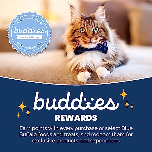 Blue Buffalo Cat Food for Mature Cats, Natural Chicken Recipe, Senior Dry Cat Food, 5 Lb Bag thumbnail