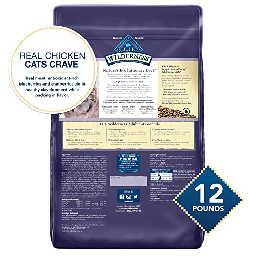 Blue Buffalo Cat Food, Natural Chicken Recipe, High Protein, Adult Dry Cat Food, 12 Lb Bag thumbnail