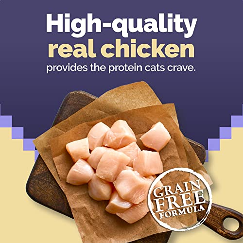 Blue Buffalo Cat Food, Natural Chicken Recipe, High Protein, Adult Dry Cat Food, 12 Lb Bag thumbnail