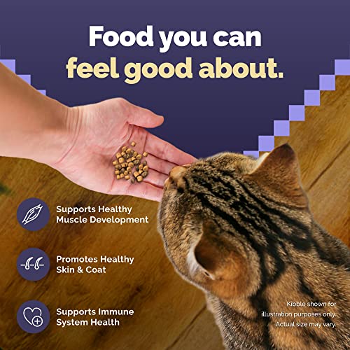 Blue Buffalo Cat Food, Natural Chicken Recipe, High Protein, Adult Dry Cat Food, 12 Lb Bag thumbnail