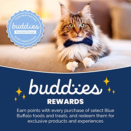 Blue Buffalo Cat Food, Natural Chicken Recipe, High Protein, Adult Dry Cat Food, 12 Lb Bag thumbnail