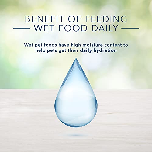 Blue Buffalo Freedom Grain Free Natural Kitten Pate Wet Cat Food, Indoor Chicken 3-oz Cans (Pack of 24) thumbnail