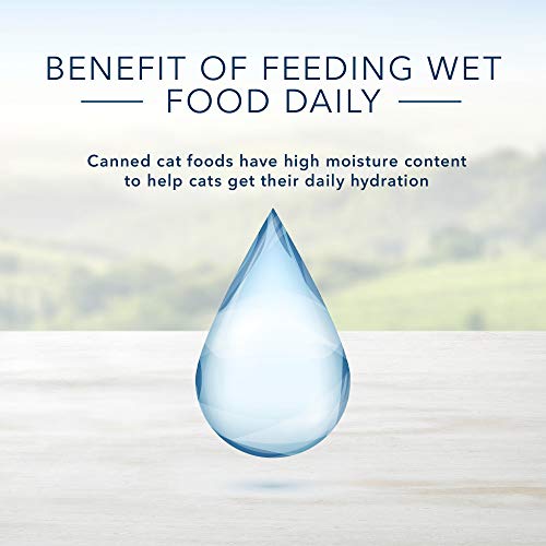 Blue Buffalo Healthy Gourmet Natural Adult Flaked Wet Cat Food Tuna 5.5-oz Cans (Pack of 24) thumbnail