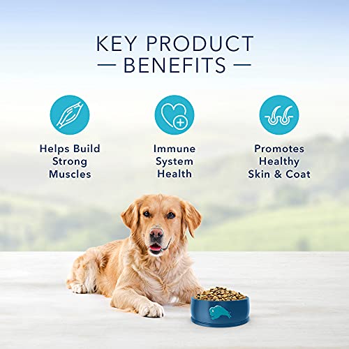 Blue Buffalo Life Protection Formula Natural Adult Dry Dog Food, Chicken and Brown Rice 6-lb thumbnail