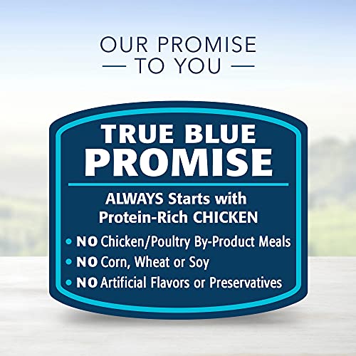 Blue Buffalo Life Protection Formula Natural Adult Dry Dog Food, Chicken and Brown Rice 6-lb thumbnail