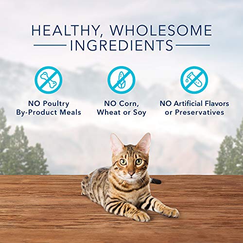 Blue Buffalo Wilderness Crunchy Cat Treats, Trout 2-oz Bag (12 Pack) thumbnail