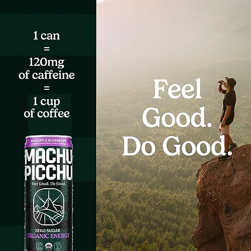 MACHU PICCHU Organic Energy Drink Sugar Free, Pineapple Blueberry Flavor Pack, 12 Fl Oz (Pack of 12) Organic Caffeine Energy Drink, No Preservatives thumbnail