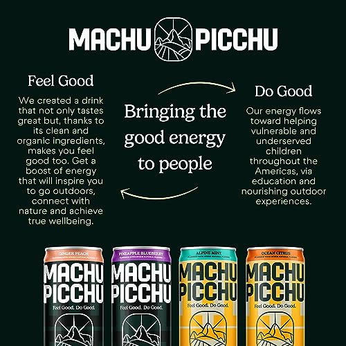 MACHU PICCHU Organic Energy Drink Sugar Free, Pineapple Blueberry Flavor Pack, 12 Fl Oz (Pack of 12) Organic Caffeine Energy Drink, No Preservatives thumbnail
