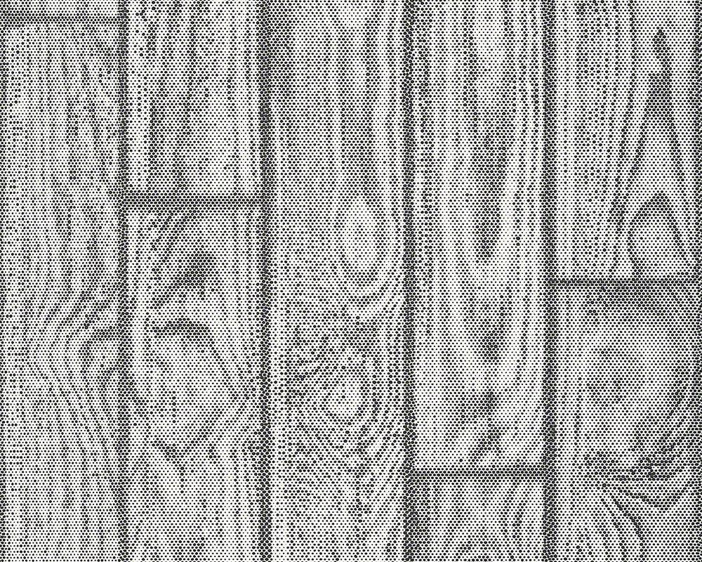 Contzen Martrics Tapete - Material: Vlies Farbig (SD) in Schwarz, WeiB (Nr. 1507-1373)