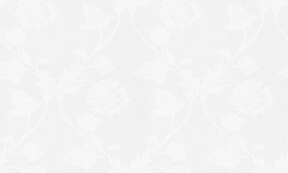 Pigment Colour Tec Tapete - Material: Vlies (SD GroBrolle) in WeiB, überstreichbar (Nr. 1507-6118)