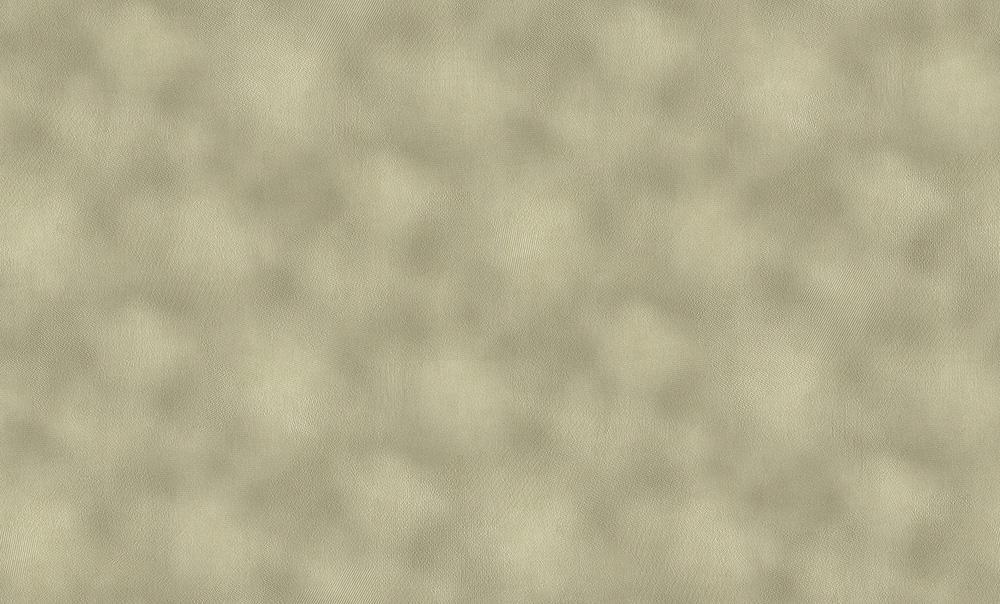 Residenza Tapete - Material: Kompaktvinyl Auf Vlies in Grün-beige (Nr. 1507-9577)