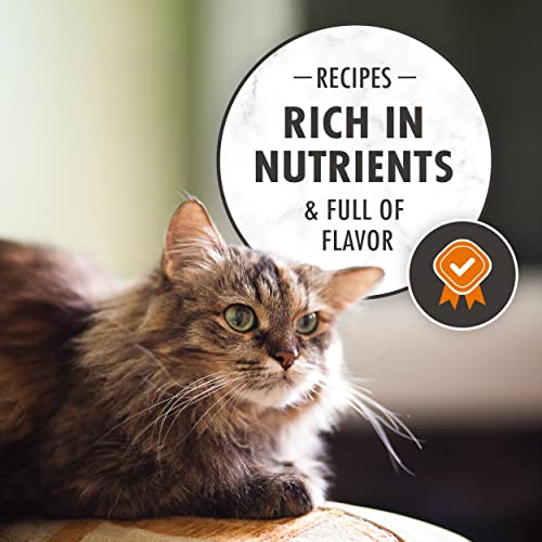 NUTRO WHOLESOME ESSENTIALS Senior Indoor Natural Dry Cat Food for Healthy Weight Farm-Raised Chicken & Brown Rice Recipe, 3 Lb. Bag thumbnail