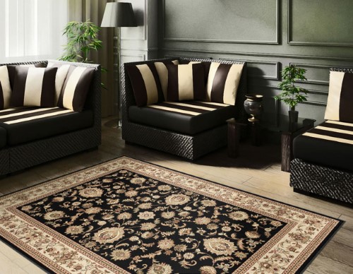 Potenza Brunelda Area Rug 4723 Black Scrolls Border 5' 3' X 7' 3' Rectangle
