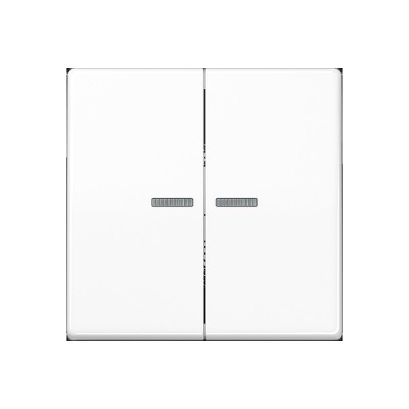 Jung Taster 2fach HOME BT a 17102 WW