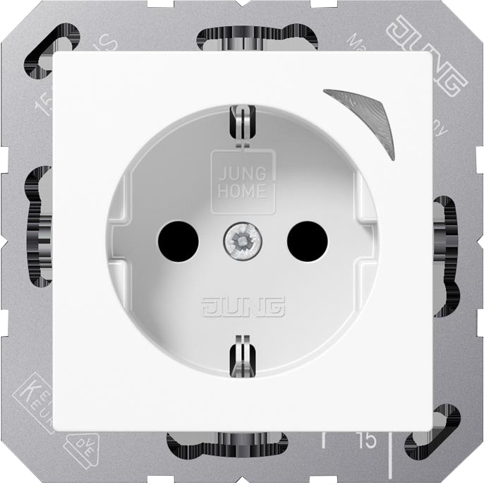 Jung SCHUKO Steckdose HOME BT a 1521 SE WW