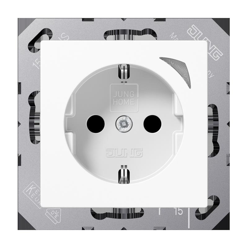 Jung SCHUKO Steckdose HOME BT a 1521 S WW