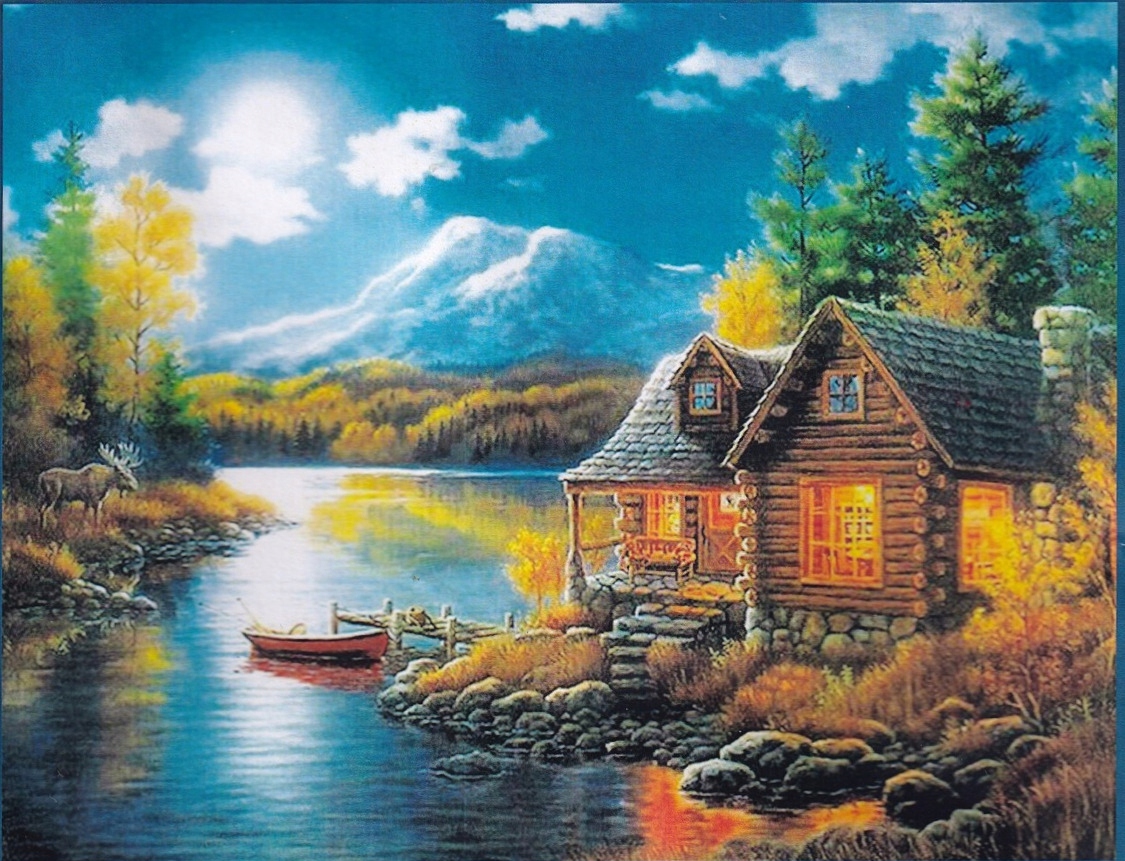 X084 Diy Haft Krzyżykowy Zestaw Nadruk 50x40