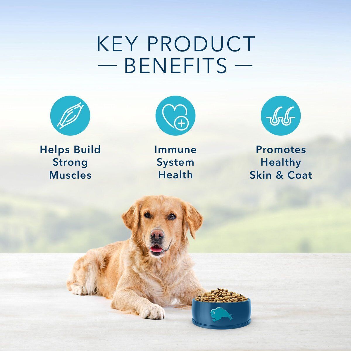 30LB Blue Buffalo Life Protection Adult Chicken and Brown Rice Dry Dog Food thumbnail