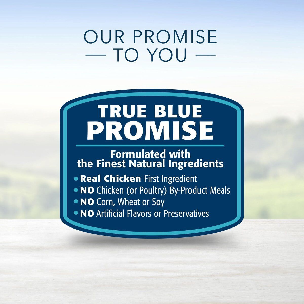 30LB Blue Buffalo Life Protection Adult Chicken and Brown Rice Dry Dog Food thumbnail